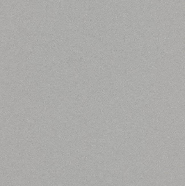 Шпалери вінілові на флізеліновій основі Сірі Brilliant Colors 0,53 x 10,05 (02403-20)
