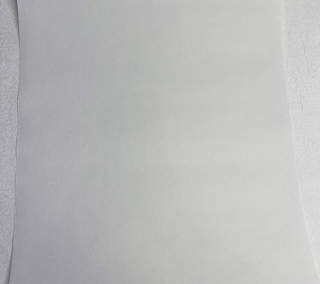 Шпалери дуплексні на паперовій основі білі 0,53 х 10,05м (2583-3)