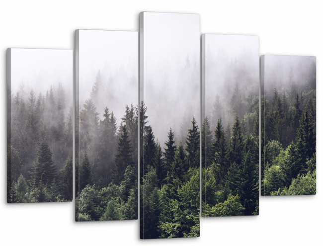 Модульная картина в гостиную/спальню для интерьера "Туманный лес" 5 частей 80 x 140 см (MK50099)