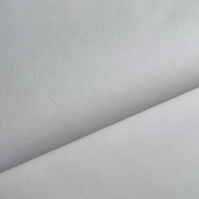 Обои дуплексные на бумажной основе белый 0,53 х 10,05м (2583-3)