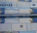 Обои виниловые на бумажной основе супер мойка Славянские обои Expromt В49,4 Бегония голубой 0,53 х 10,05м (5674-03)