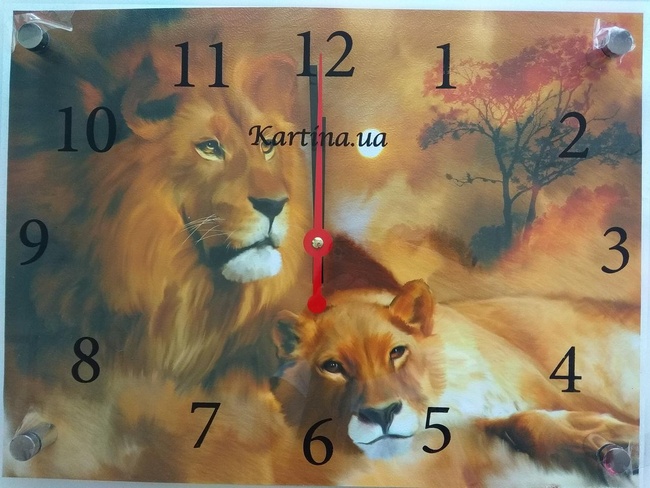 Часы-картина под стеклом Львы 30 см x 40 см (3847 - К325)