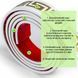 Молдинг 3000х50х6 мм Білий із золотом SW-00002688, Белый+золото