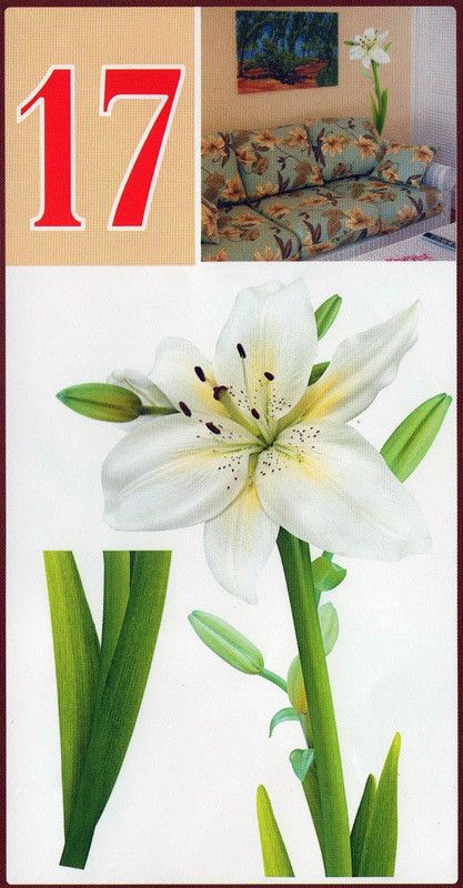 Наклейка декоративная АртДекор №17 Белая Лилия (933 - 17)