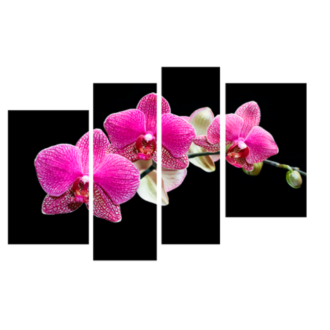 Картина модульная 4 части Орхидея 80 х 120 см (8360-С-5)