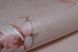 Шпалери вологостійкі на паперовій основі Слов'янські шпалери Venice B56,4 примули рожевий 0,53 х 10,05м (6487 - 02), Кофейный, Кавовий