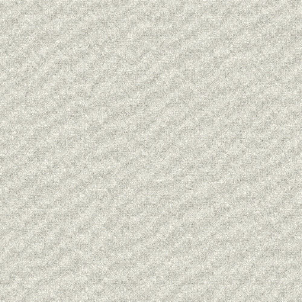 Шпалери вінілові на флізеліновій основі Бонжур фон сіро-бежевий 1,06 х 10,05м (10-1005-Бонжур-71)