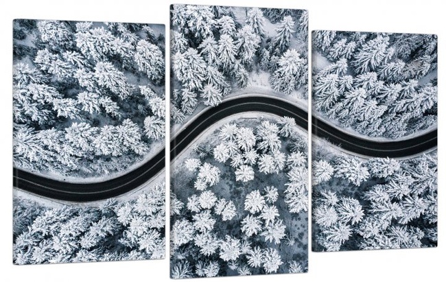 Модульна картина у вітальню/спальню для інтер'єру "Зимова дорога в лісі" 3 частини 53 x 100 см (MK30172_E)