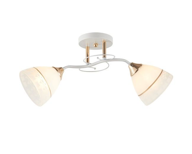 Люстра декоративна INTEREES IS 6411-2 WH+FG, Білий4
