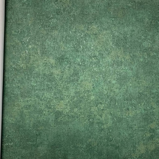 Шпалери вінілові на флізеліновій основі AS Creation History Of Art зелений 0,53 х 10,05м (37655-8)