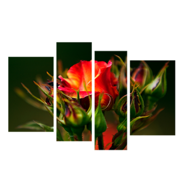 Картина модульная 4 части Цветы 80 х 120 см (8362-С-193)