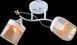 Декоративная люстра INTEREES IS DA5149A/2 White Gold на 3 плафона, Белый4