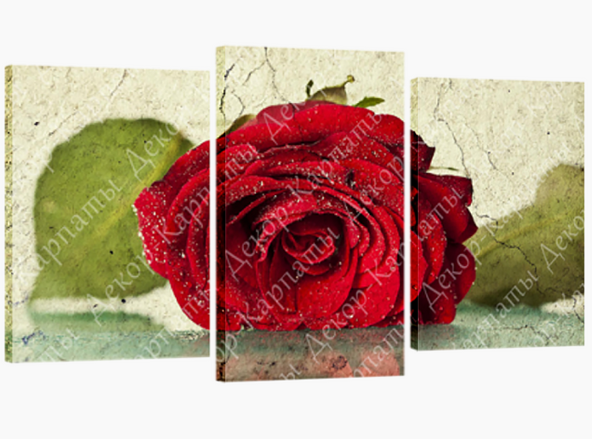 Картина модульна 3 частини Троянда 53 х 110 см (С-123)