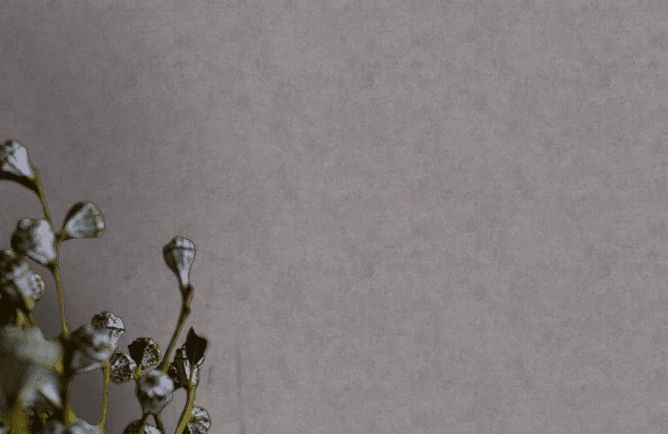 Шпалери вінілові на флізеліновій основі AS Creation History Of Art темно-сірий 0,53 х 10,05м (37656-3)