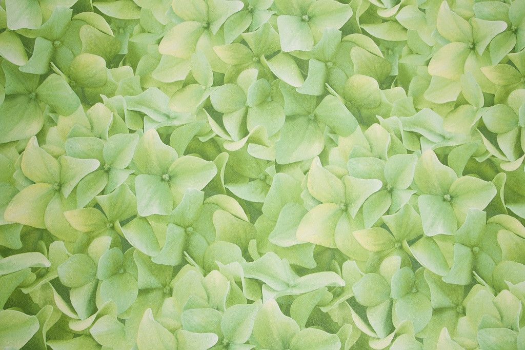 Шпалери вінілові на флізеліновій основі Палітра зелений 1,06 х 10,05м (7460 - 77)