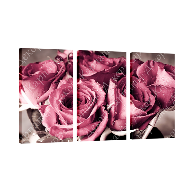 Картина модульная 3 части Розы 70 х 110 см (8315-С-6)