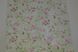 Шпалери паперові Слов'янські шпалери Colorit В27,4 Європа зелений 0,53 х 10,05м (6563-04)