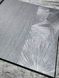 Шпалери вінілові на флізеліновій основі Erismann Fashion for Walls 3 сріблястий 1,06 х 10,05м (12099-29)