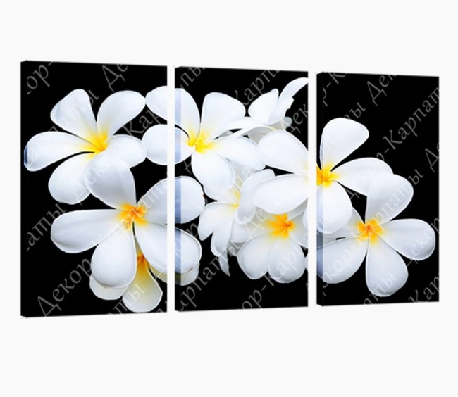 Картина модульна 3 частини Квіти 53 х 110 см (С-106)