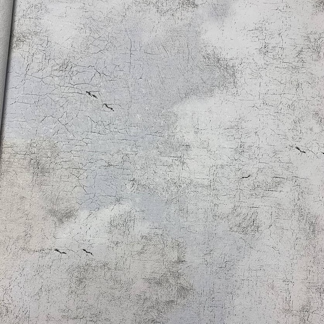 Шпалери вінілові на флізеліновій основі AS Creation History Of Art сітло-сірий 0,53 х 10,05м (37649-1-1)