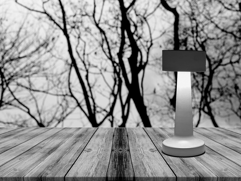 Настольная лампа сенсорная светодиодная ESLLSE DOWN LIGHT с аккумулятором 1200 mA Белая, Білий