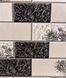 Шпалери вологостійкі на паперовій основі Континент Гала чорний з бежевим 0,53 х 10,05м (2222)