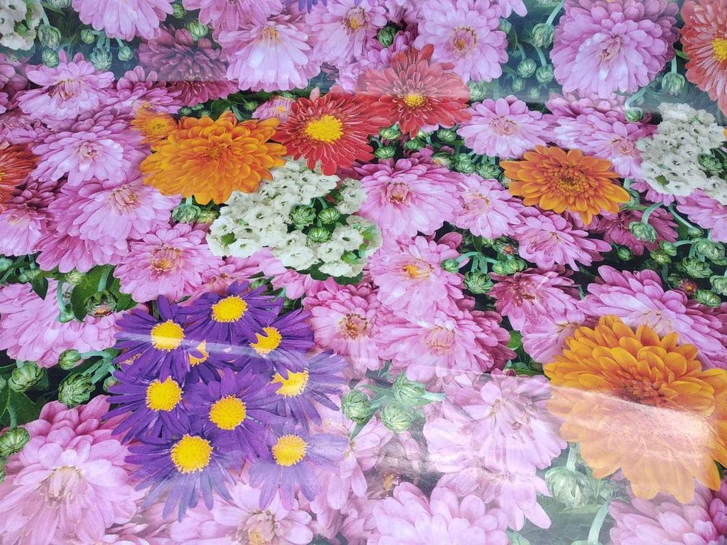 Клейонка на стіл ПВХ на основі ущільнена Квіти рожевий 1,4 х 1м (100-098), Рожевий, Рожевий