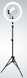 Кольцева селфи лампа светодиодная с креплением для Тик ток инстаграм с штативом (TY-3060), Черный, Черный