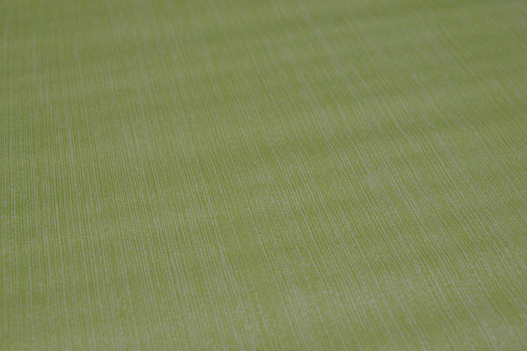 Шпалери паперові Шарм Дощ зелений 0,53 х 10,05м (124-03)