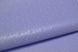 Шпалери акрилові на паперовій основі Слов'янські шпалери Garant В77,4 Адажіо 2 блакитний 0,53 х 10,05м (5203-03)