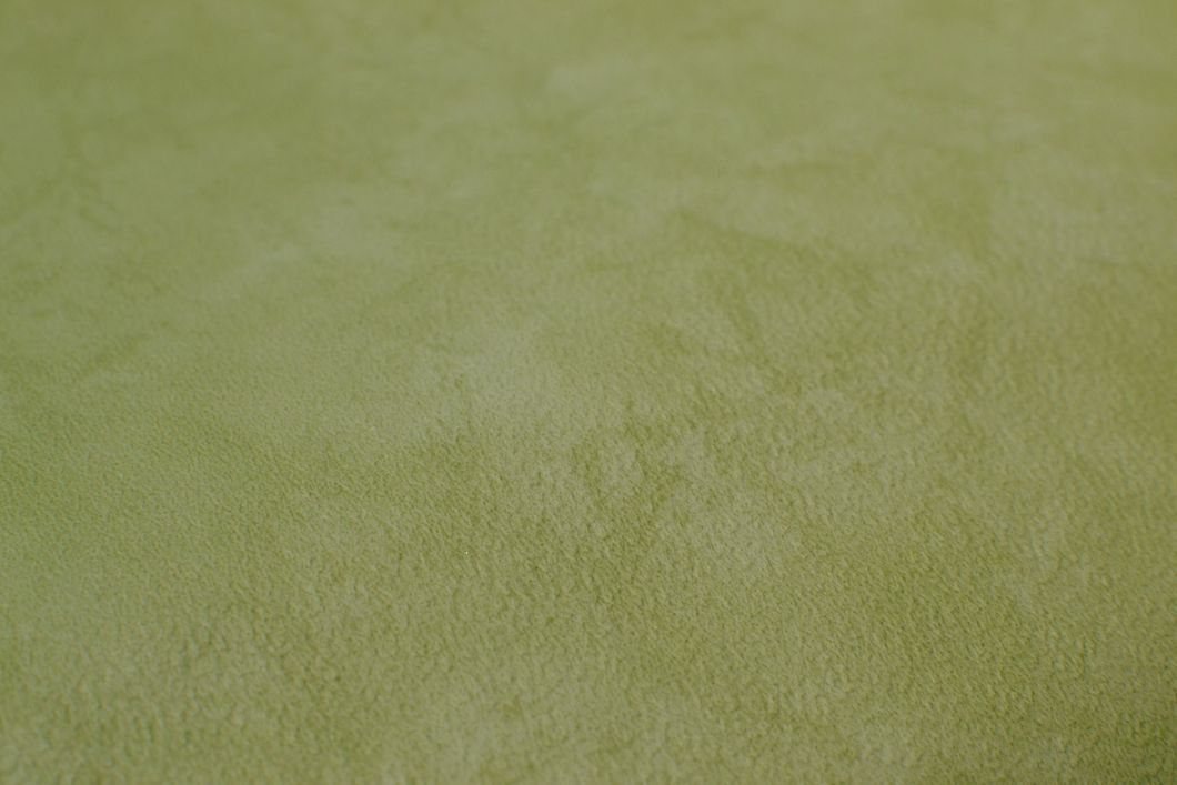 Обои бумажные Шарм Фиона зелёный 0,53 х 10,05м (5-03)