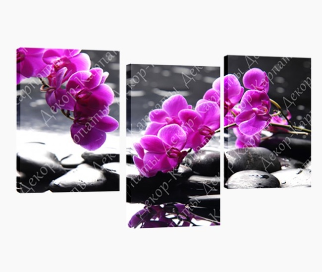 Картина модульная 3 части Орхидеи 53 х 110 см (Е-151)