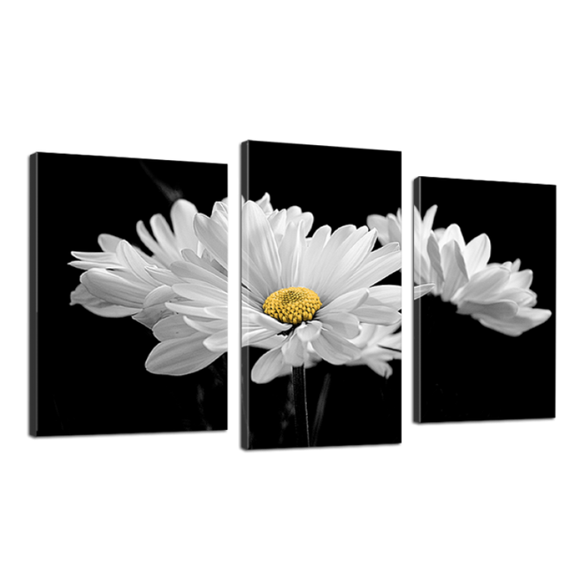 Модульна картина DK Place Білі квіти 3 частини 53 x 100 см (530_3)