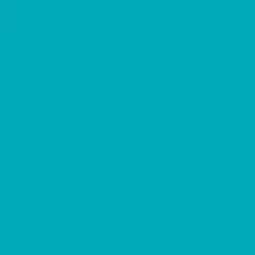 Водно-дисперсионный пигментный концентрат Farbex Color №21 Бирюзовый 100 мл (304553)