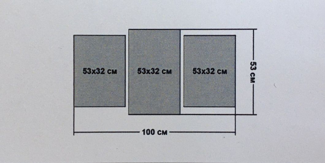 Картина модульна 3 частини Маки на сірому 53 х 100 см (165)
