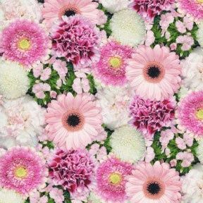 Самоклейка декоративна Patifix Хризантеми рожевий глянець 0,45 х 1м (15-6225), Рожевий, Рожевий