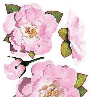 Наклейка декоративна Наш Декупаж Троянди рожеві (1456 - ТП131)