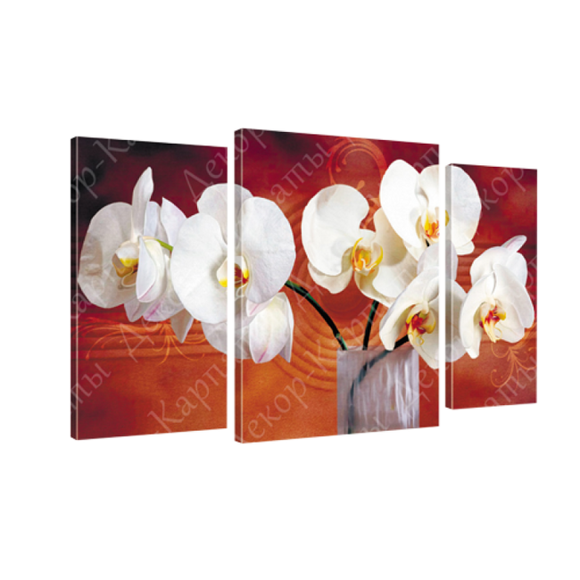 Картина модульная 3 части Орхидея в вазе 53 х 100 см (8275-174)