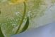 Шпалери вінілові на флізеліновій основі Vinil СШТ Тюльпани зелений 1,06 х 10,05м (1 - +1097)