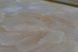 Шпалери вінілові на флізеліновій основі Sintra Avellino бежевий 1,06 х 10,05м (363300)