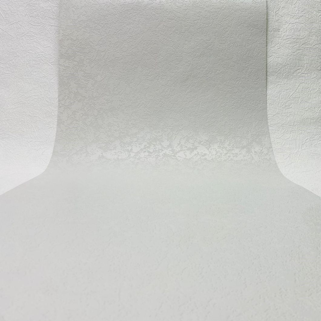 Шпалери вінілові на паперовій основі супер-мийка Слов'янські шпалери Expromt В49,4 Мільтонія сірий 0,53 х 10,05м (5812-10)