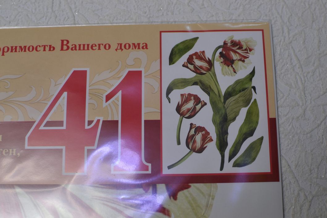 Наклейка декоративна Артдекор №41 Тюльпани (5843 - 41)