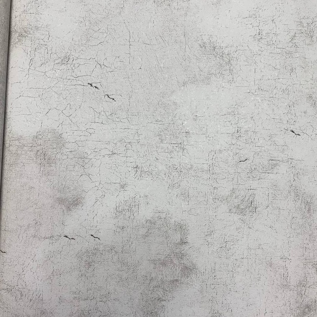 Обои виниловые на флизелиновой основе AS Creation History Of Art серый 0,53 х 10,05м (37649-4)
