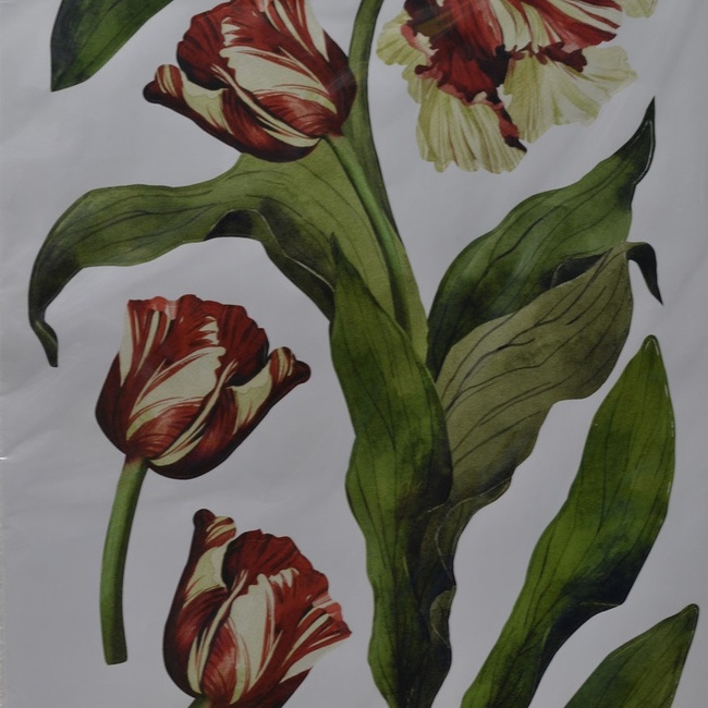 Наклейка декоративная АртДекор №41 Тюльпаны (5843 - 41)