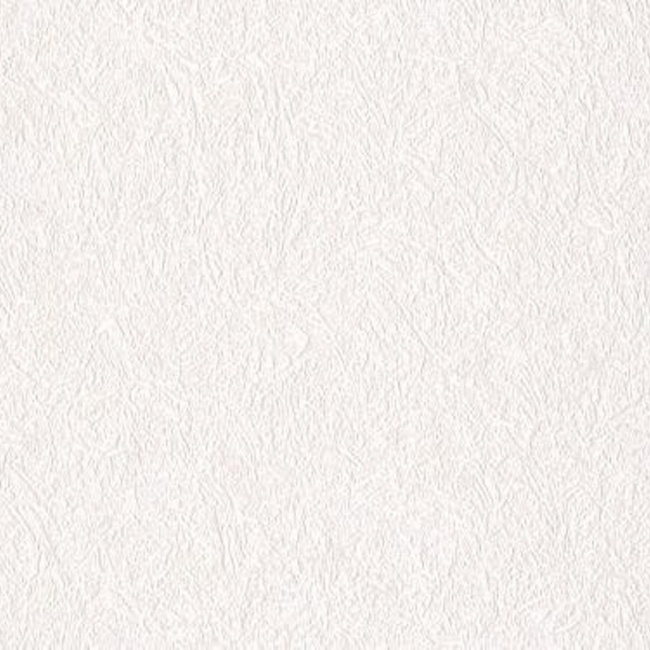 Шпалери вінілові на паперовій основі Слов'янські шпалери Comfort В40,4 Полюс білий 0,53 х 15м (C 873-10)