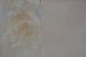 Шпалери вінілові на флізеліновій основі Sintra Avellino бежевий 1,06 х 10,05м (363447),