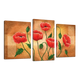 Модульная картина DK Place Цветы маки 3 части 53 х 100 см (531_3)