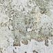 Шпалери вінілові на паперовій основі сіро-бежевий супер-мийка Слов'янські шпалери Expromt В49,4 Фіточенто 0,53 х 10,05м (5789-04)