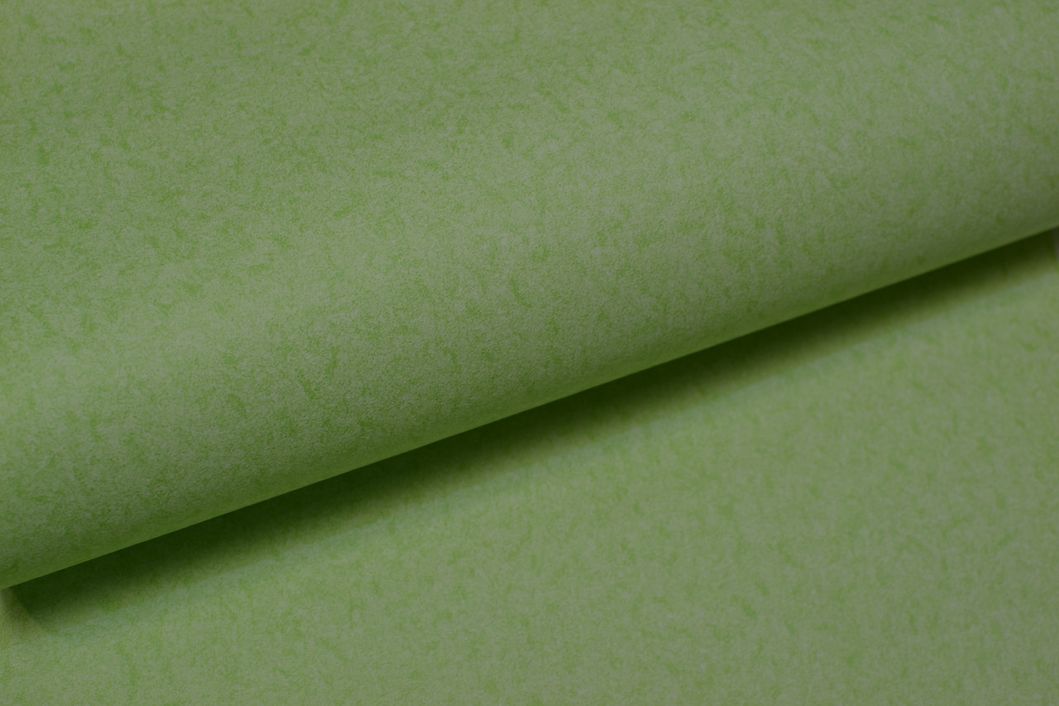 Шпалери дуплексні на паперовій основі зелений 0,53 х 10,05м (2555 - 5)