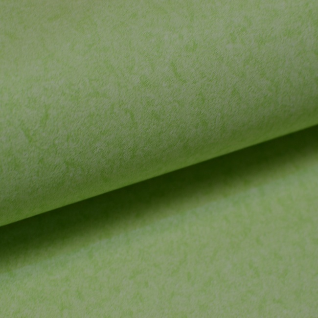 Обои дуплексные на бумажной основе зелёный 0,53 х 10,05м (2555 - 5)